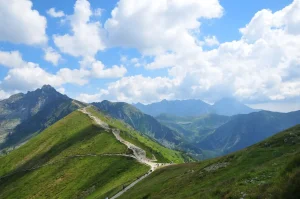 zabrać w góry